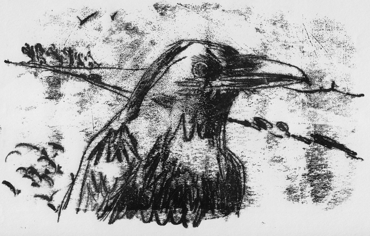 PETER GANDER ART Crow II monoprint