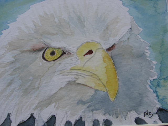[eagle.jpg]