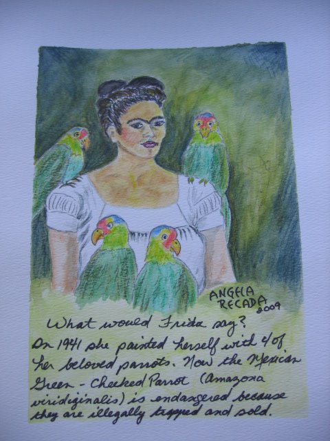 [FridaandParrots2009+002.jpg]