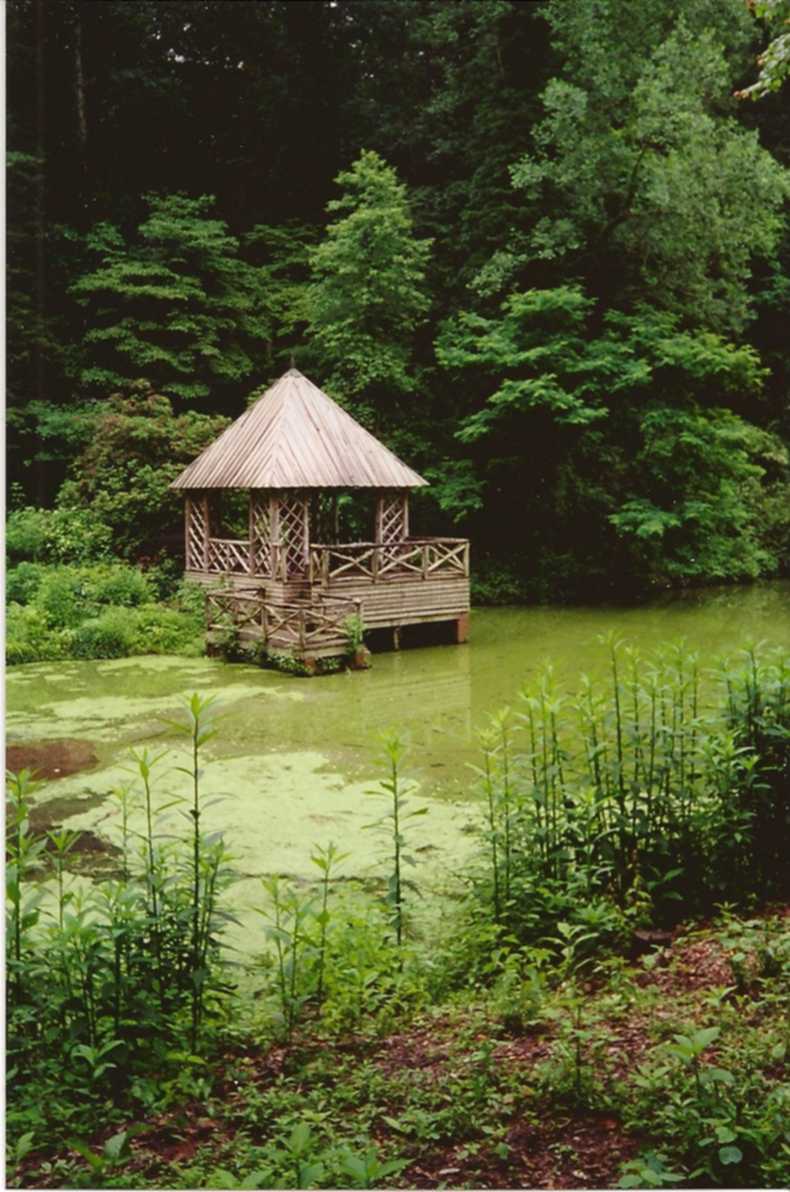 [Biltmore.jpg]
