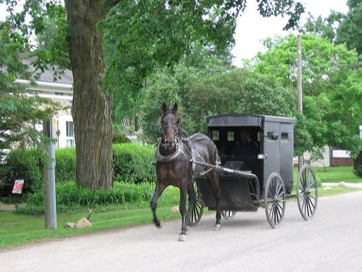 [Ontario+Mennonites.jpg]