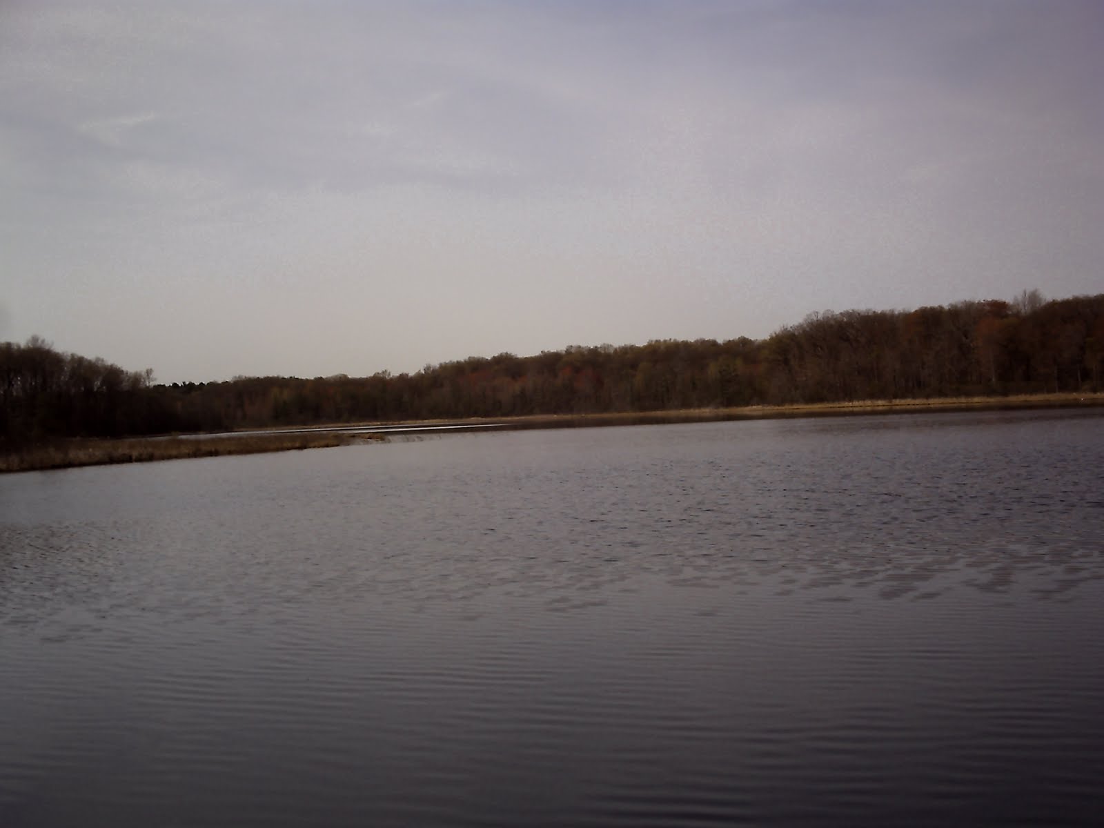 The QuestHiking the North Country Trail Hall Lake