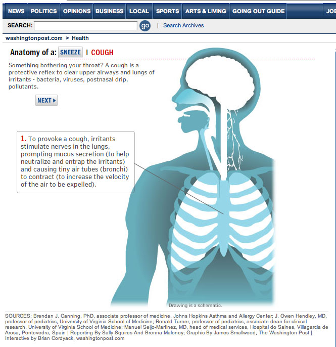 WP Anatomy of a Sneeze/Cough Fauquier ENT Blog