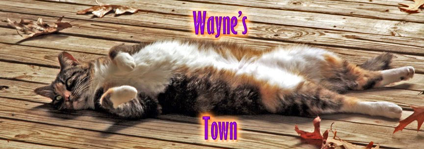 Wayne's Town