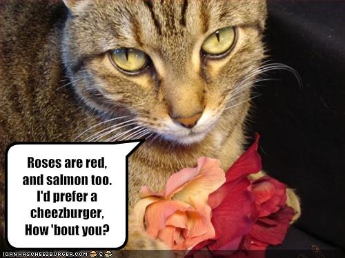 Goat Funny Valentine Card by getyergoat funny valentine greeting Funny 