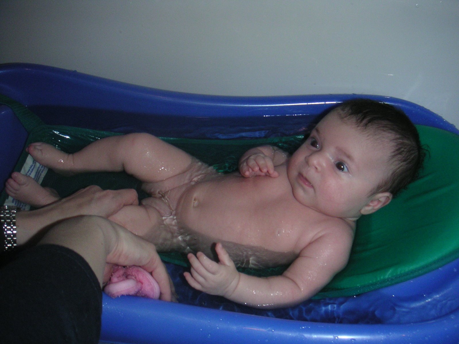[PICT0029.JPG]