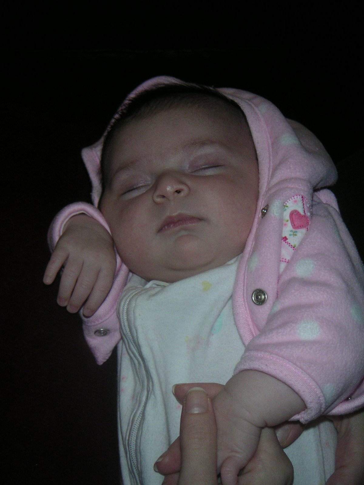 [PICT0028.JPG]
