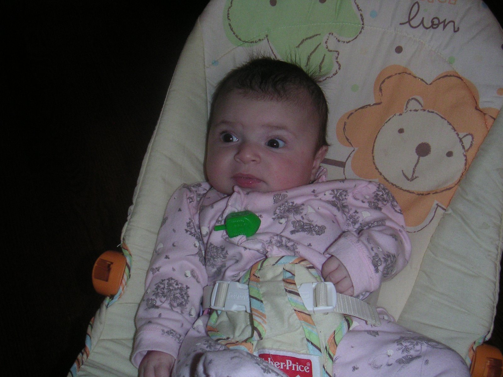 [PICT0010.JPG]