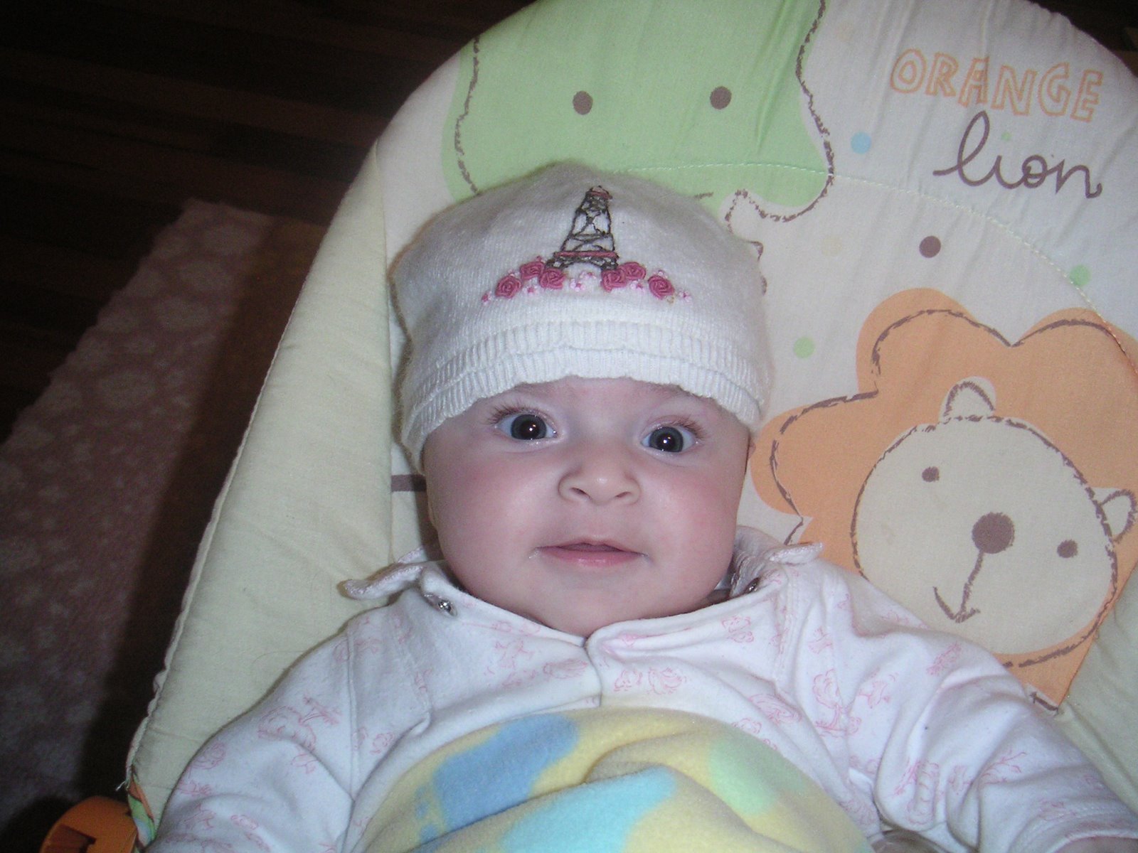 [PICT0062.JPG]