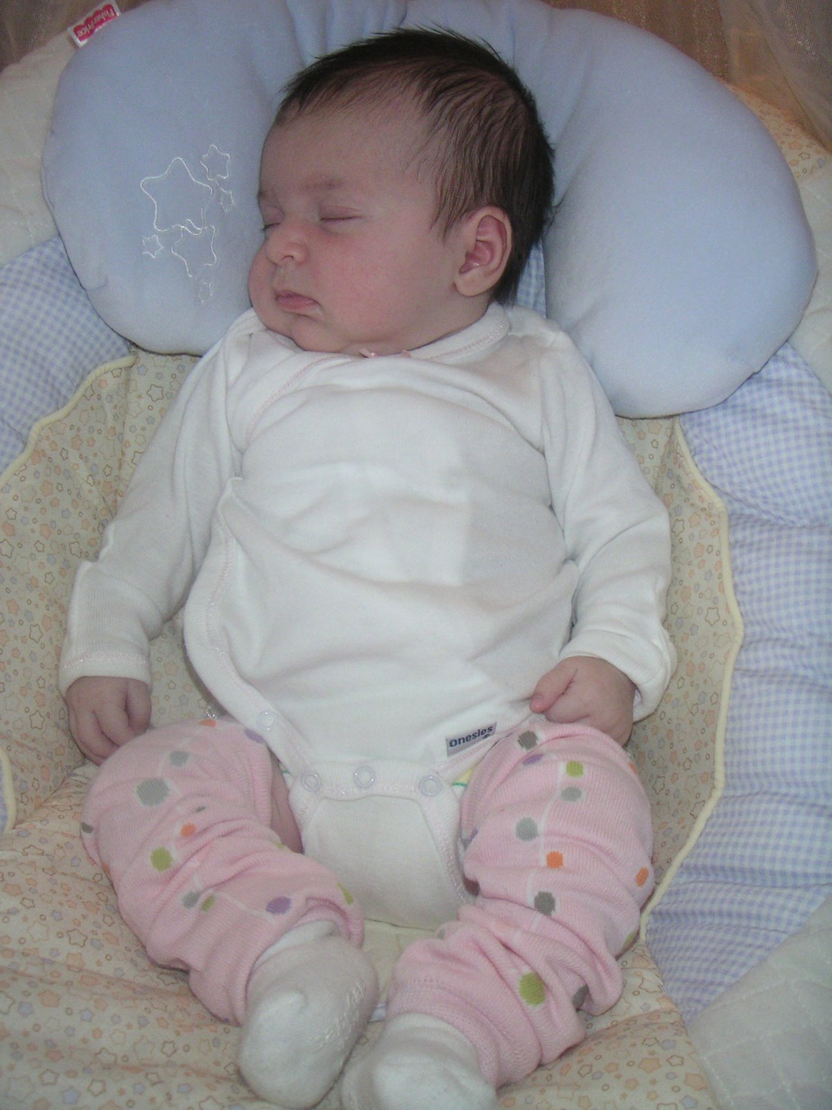 [PICT0026.JPG]