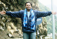D Blue Bird