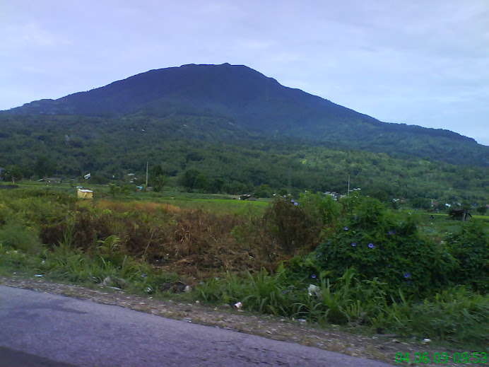 Henry Mantis: Contoh Surat Kuasa (Perkara Pidana)