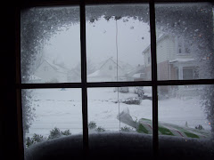 Winter through my window