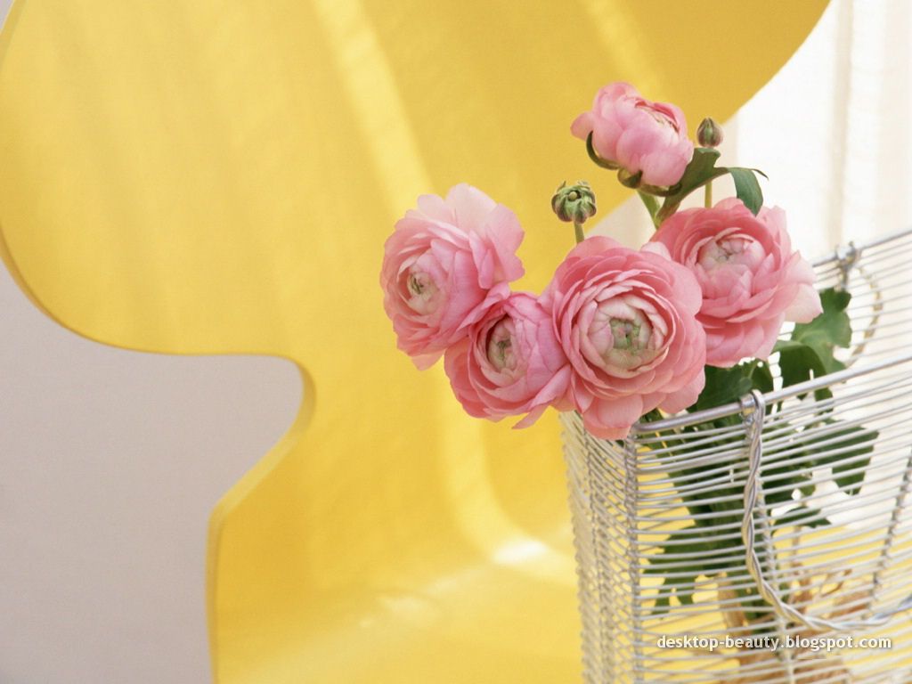 [flowers1.jpg]