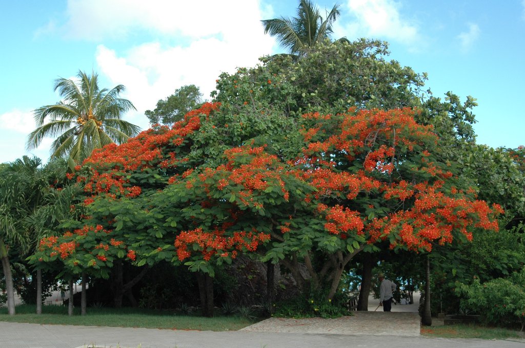 [Cuba+(423)_1024x680.jpg]