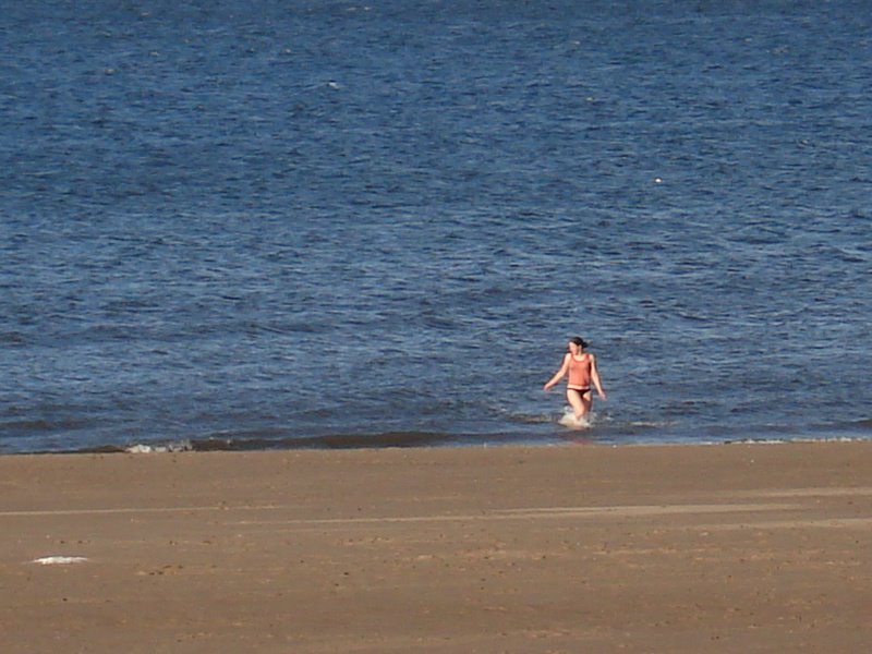 [DSC04461.jpg]