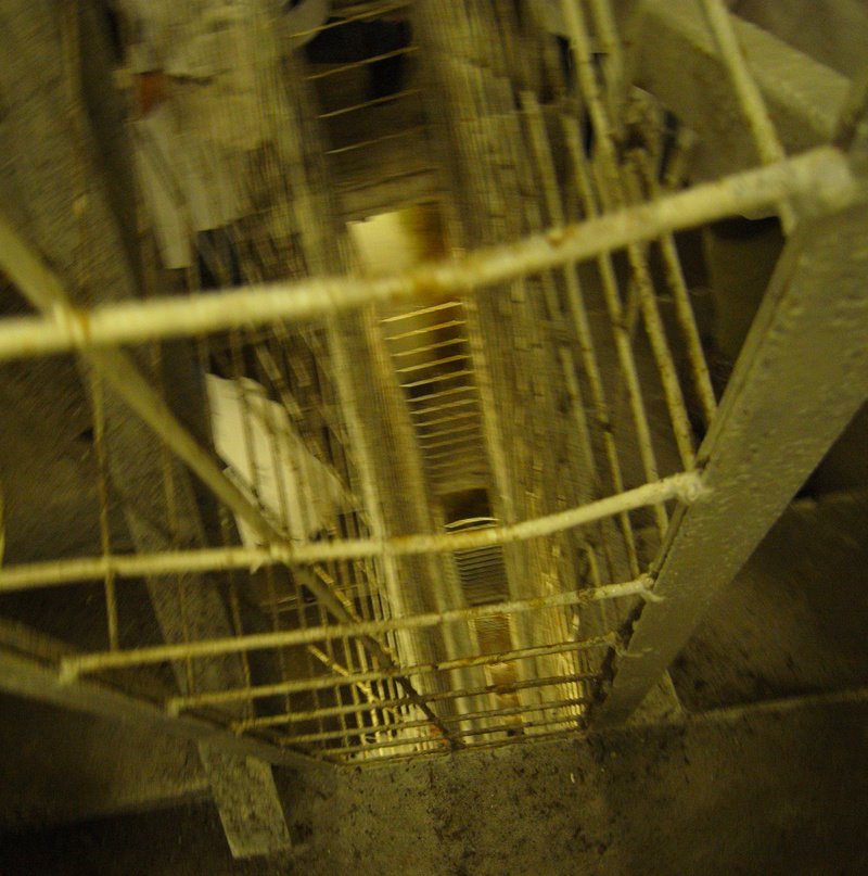 [R0010496.JPG]
