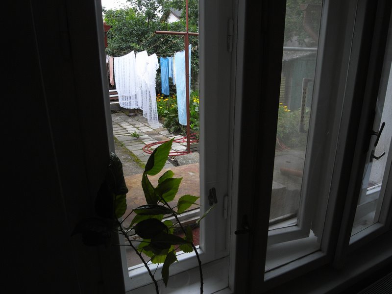 [R0010629.JPG]