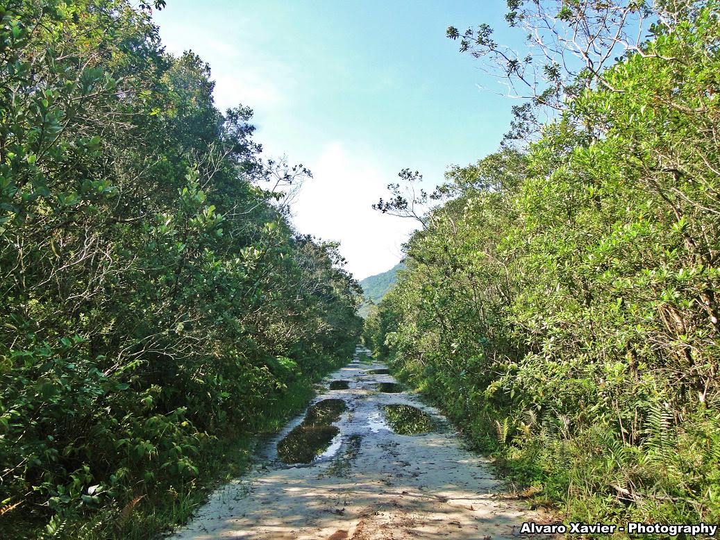 Alvaro Xavier Poço das Antas Núcleo Perequê Cananéia