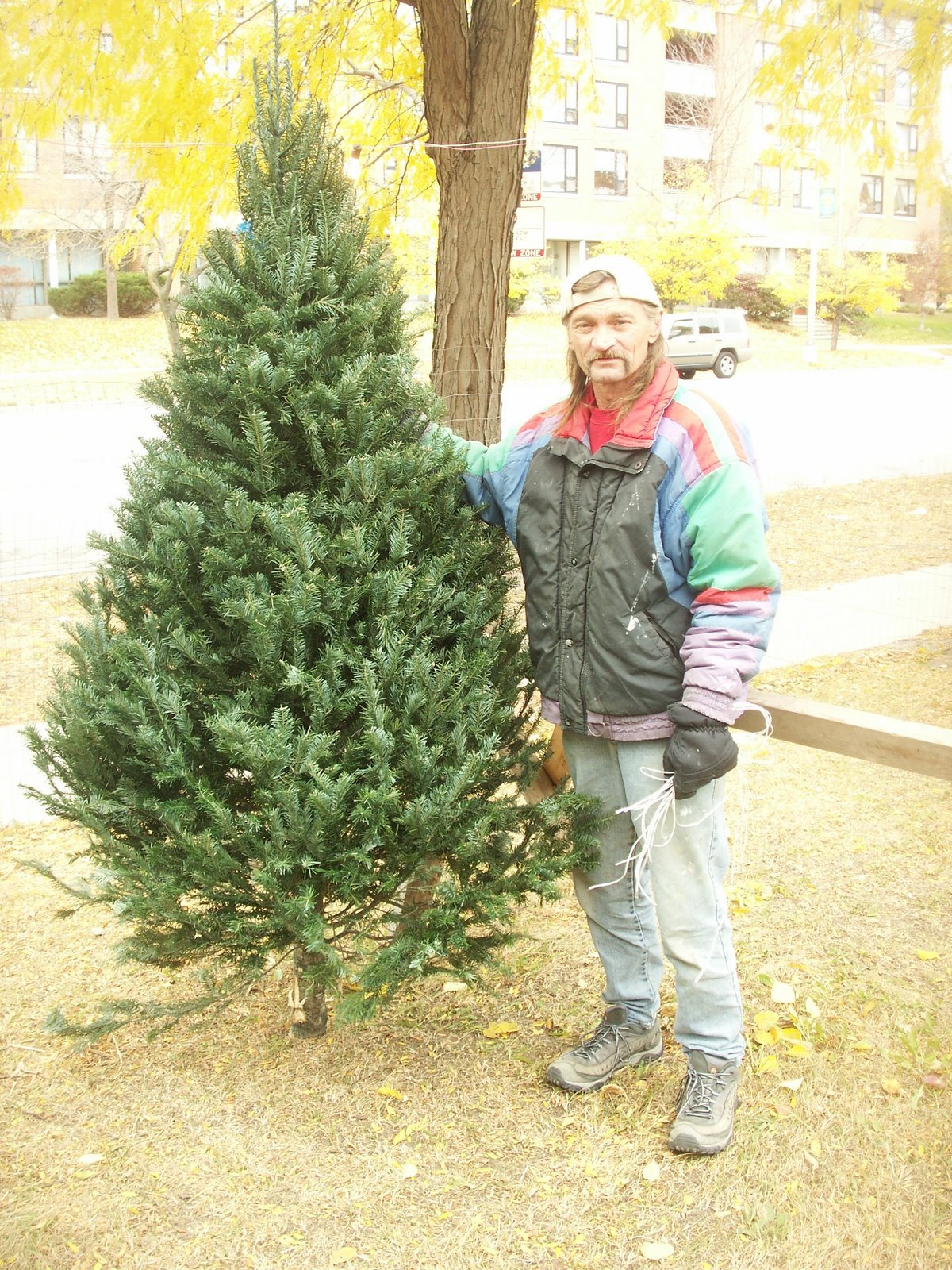 [Rogers+Park+Christmas+tree.JPG]