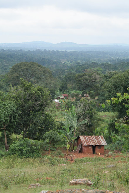 Another View