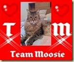Join Team Moosie