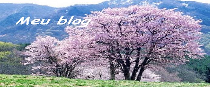 Meu blog