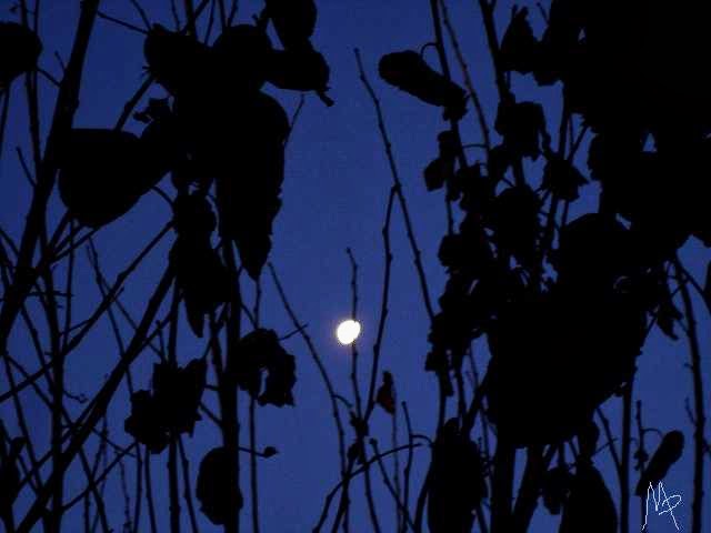 [terrores+nocturnos.jpg]