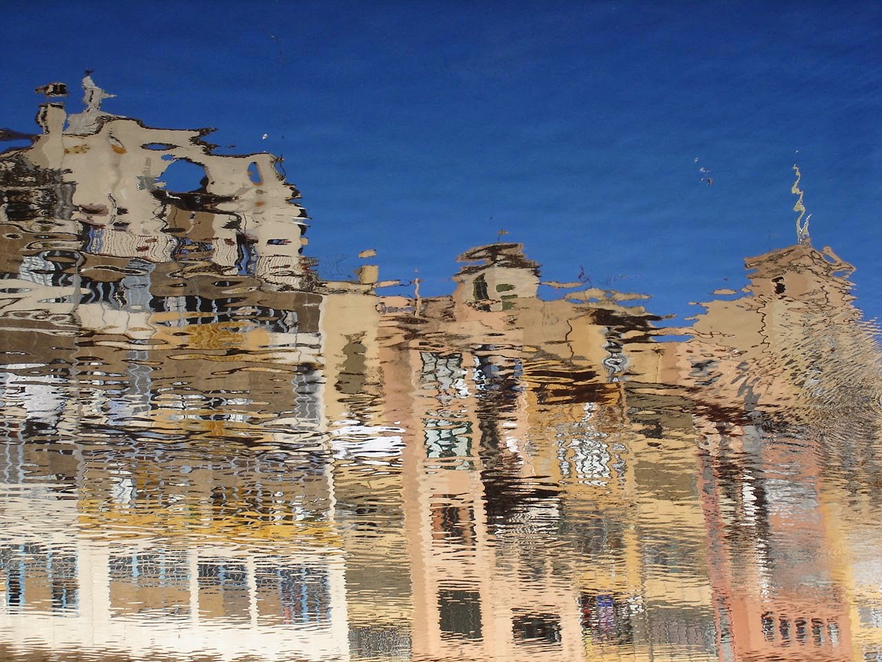 [estrella+fugaz.jpg]