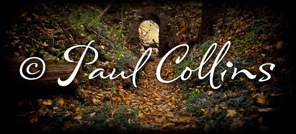 Paul Collins Photography