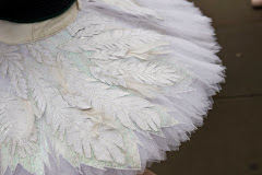 The story of a Swan Lake tutu, photo :  Robert Griffin