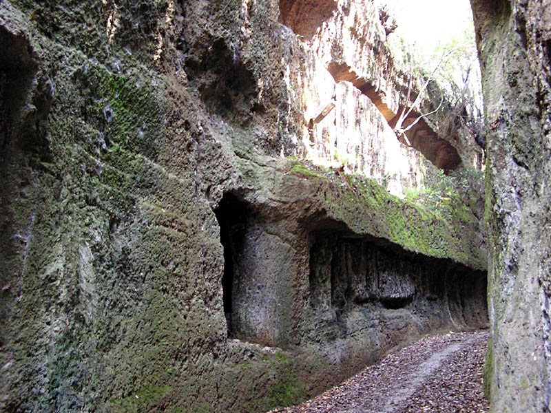 Le Vie Cave Degli Etruschi