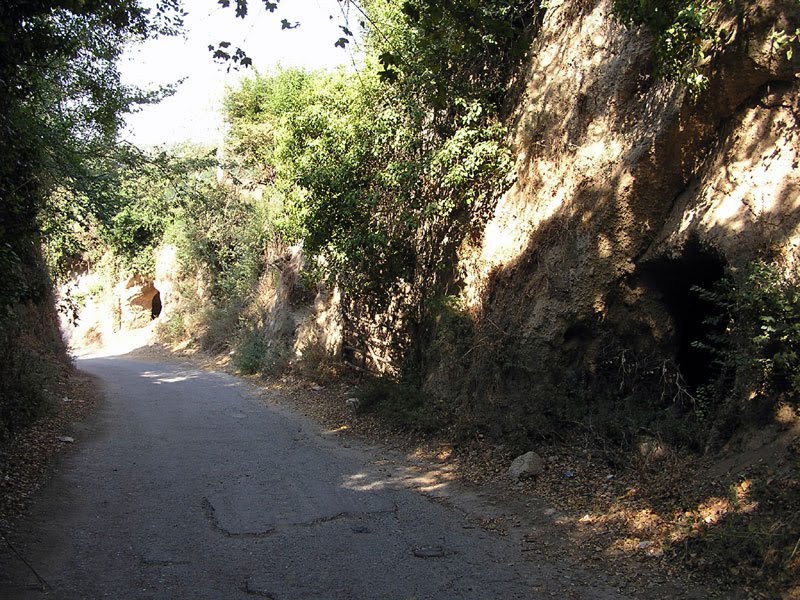 Le Vie Cave Degli Etruschi
