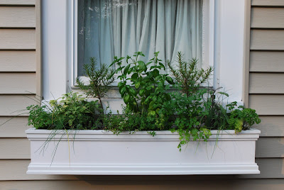The Princess and The Frog Blog: A window box herb garden