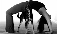 Up Dog, Down Dog, Wheelie Dog?