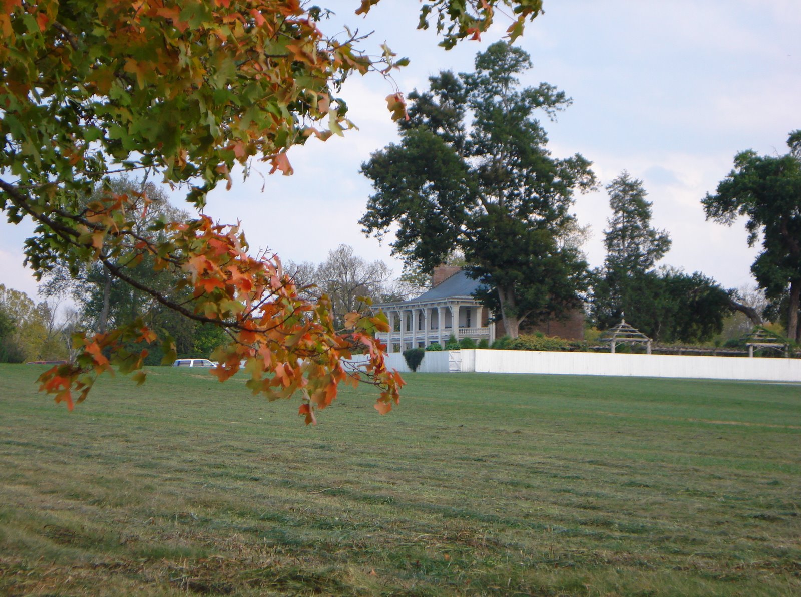 [DSC00246.JPG]