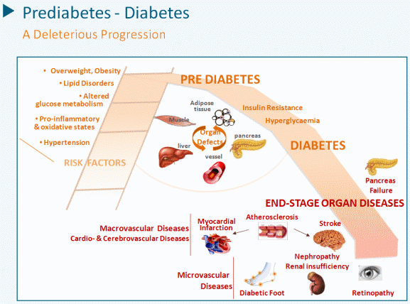Normal” Blood Sugar Levels May Still Mean You Have Prediabetes