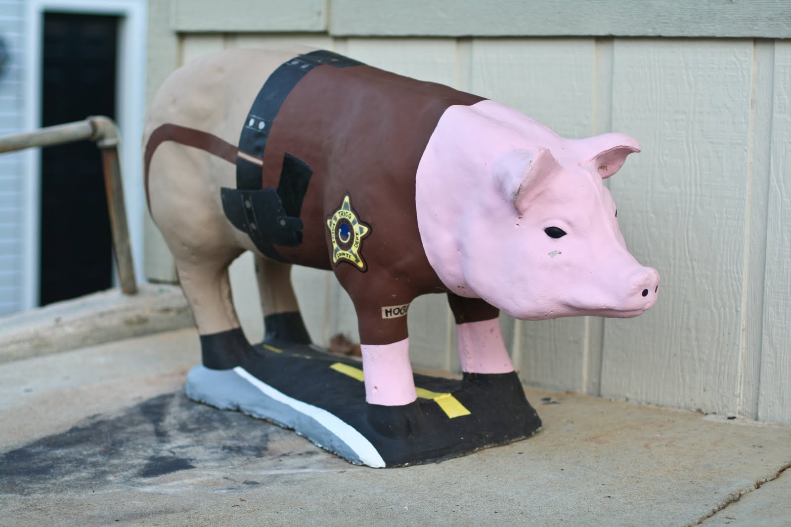 Tom Hughes Realty Cadiz Pigs