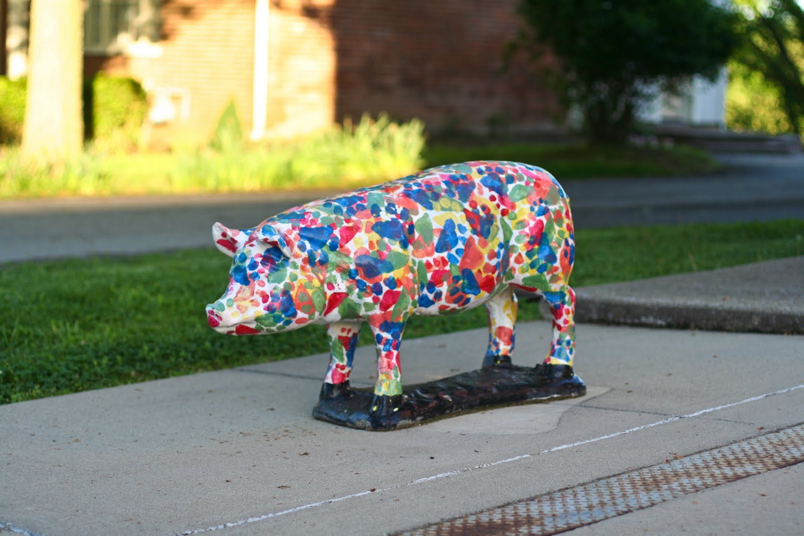 Tom Hughes Realty Cadiz Pigs