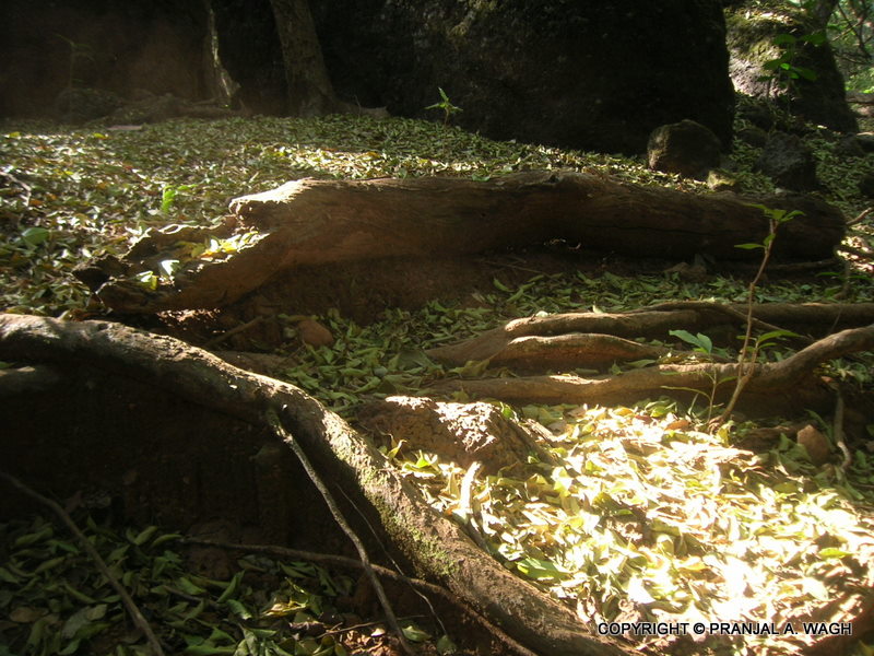 [DSCN0716.JPG]