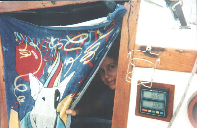 Windy peering through companionway during tropical storm Andres