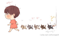 Junsu and the cats!!