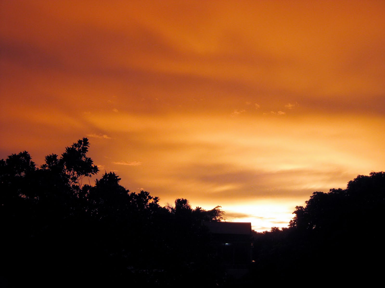 Mellow Yellow Yellowish Sunset