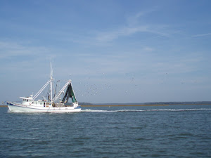 Shrimp Boat