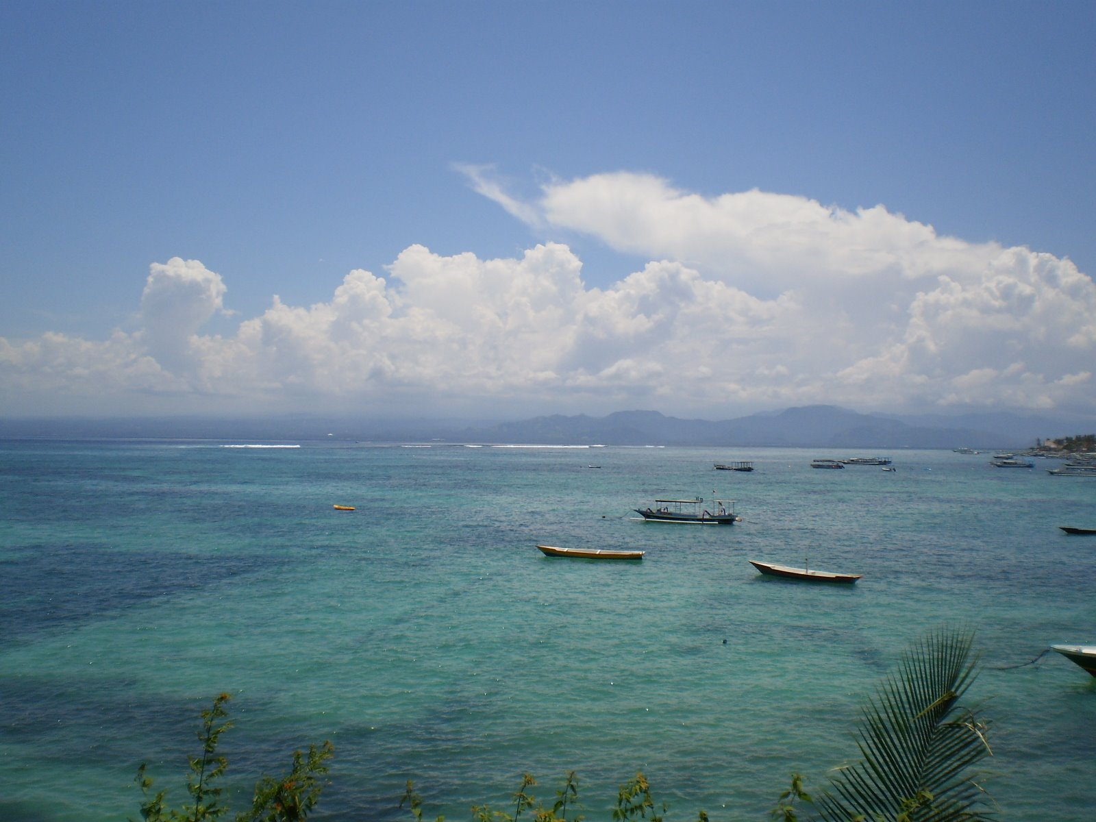 [P3290067.JPG]