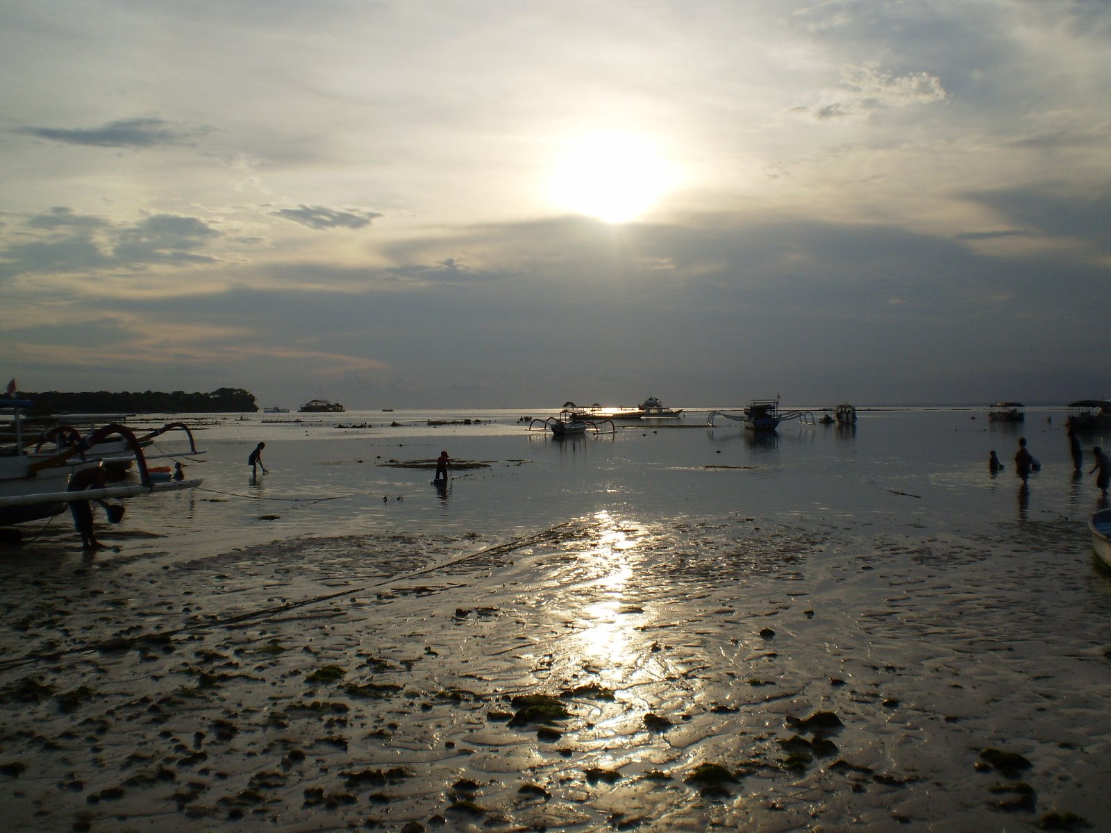 [P3290074.JPG]