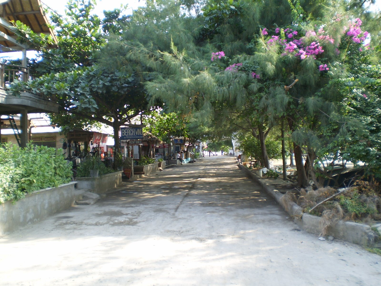 [P4010012.JPG]