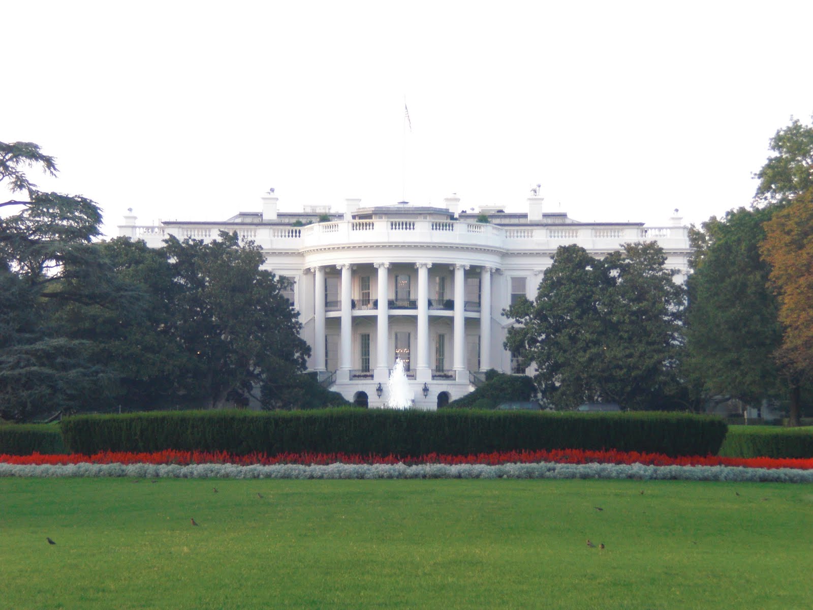 [CIMG8613.JPG]