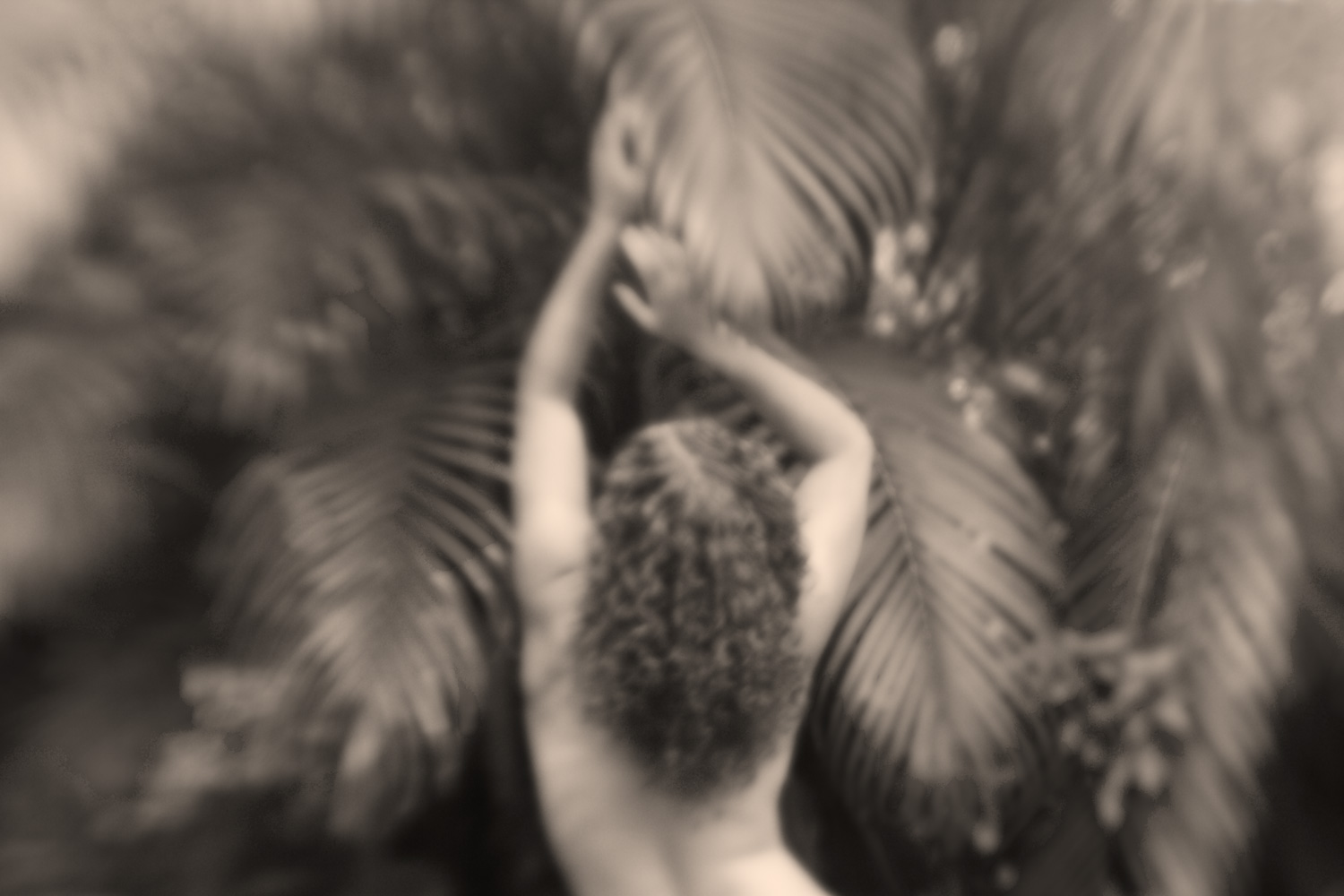 [ReachingIntheFerns.jpg]