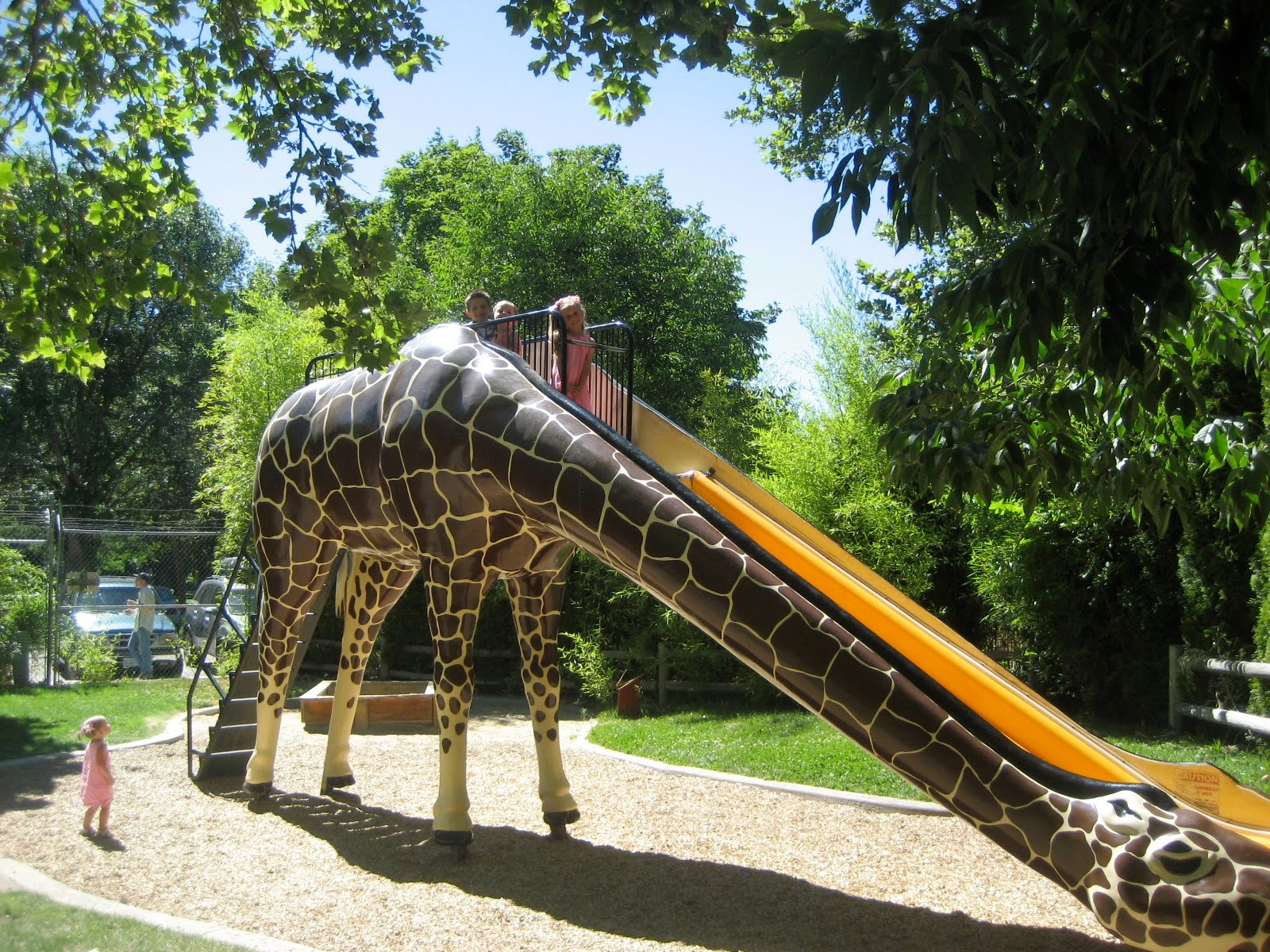 Wheelus Boise Zoo July 22nd